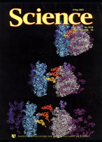 2001 Science Cover