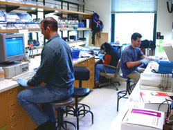 Noller Lab