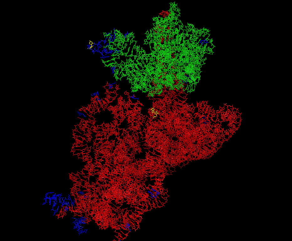 RNA 3D Blue and Red image