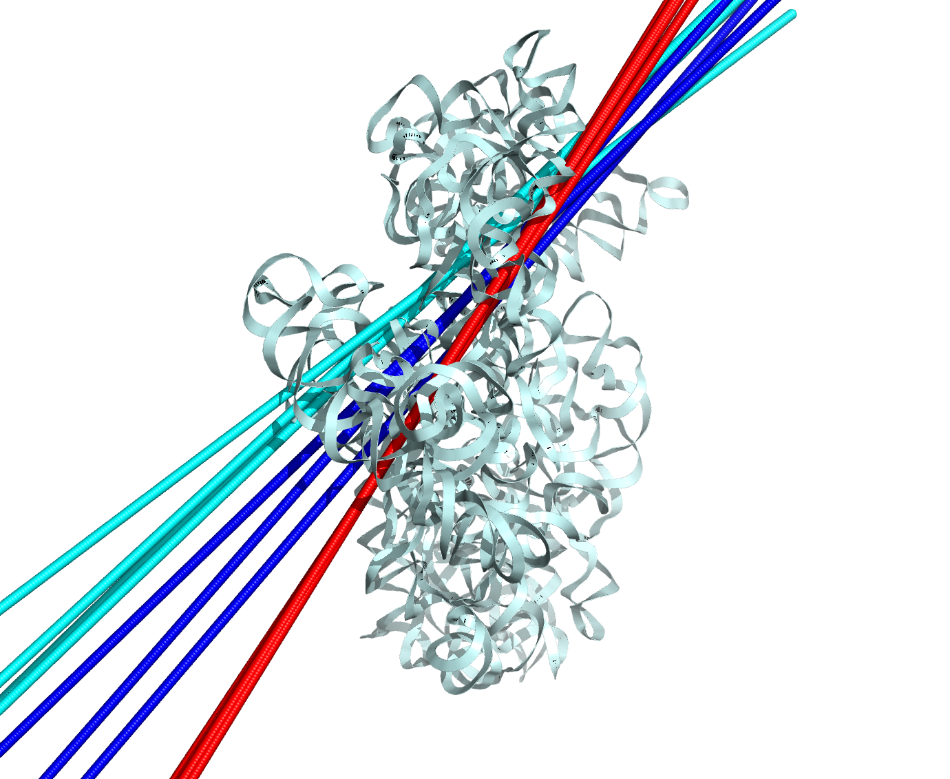 RNA 3D image