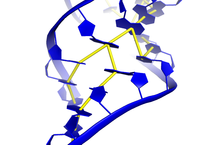 RNA 3D Blue and yellow PDB to Restraints