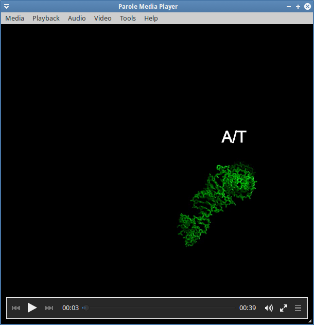 Reconstruction of the dynamics and flexing of tRNA during translocation of the ribosome
